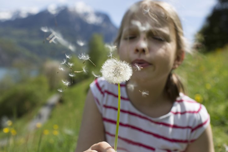 Pour mettre toutes les chances de leur côté, aha! Centre d'Allergie Suisse recommande aux personnes allergiques de profiter de la pause pollinique qui s'annonce pour commencer une désensibilisation (ou immunothérapie allergénique). © KEYSTONE/GAETAN BALLY