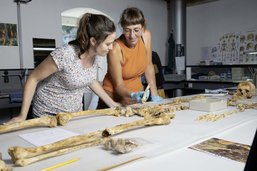 Squelettes découverts à l’abbaye d’Hauterive: des ossements riches en mystères