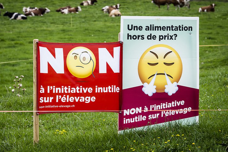 Le peuple suisse a tranché dimanche. Selon les premières tendances, l'initiative pour interdire l'élevage intensif sera refusée. © KEYSTONE/JEAN-CHRISTOPHE BOTT