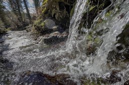 Une entreprise de forage pollue un ruisseau à Vuisternens-devant-Romont